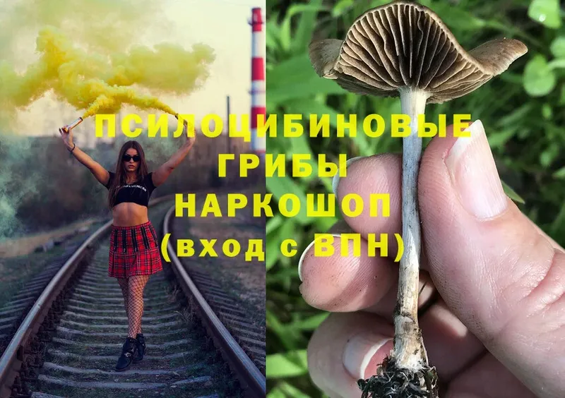 Галлюциногенные грибы MAGIC MUSHROOMS  omg ссылки  Новосиль 